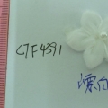 CTF4391