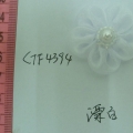 CTF4394