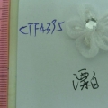 CTF4395