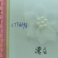 CTF4396