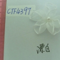 CTF4397