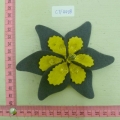 CTF4408