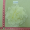 CTF4432