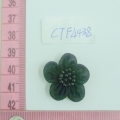 CTF4438