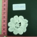 CTF4456