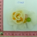 CTF4468