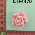 CTF4470