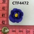 CTF4472