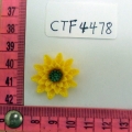 CTF4478