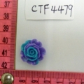 CTF4479