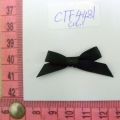 CTF4481