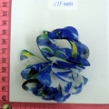 CTF4483