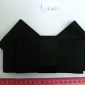 CTF4493