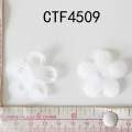 CTF4509