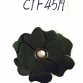 CTF4519