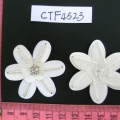 CTF4523