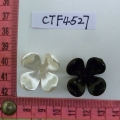 CTF4527