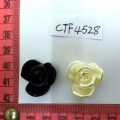 CTF4528