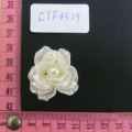 CTF4529