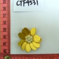 CTF4531