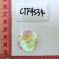 CTF4534