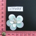 CTF4538