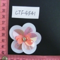 CTF4541