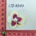 CTF4543