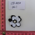 CTF4550