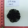 CTF4551