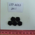CTF4552