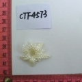 CTF4573