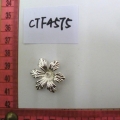 CTF4575