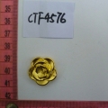 CTF4576
