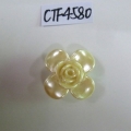 CTF4580