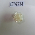 CTF4581