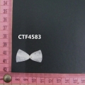 CTF4583