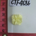 CTF4586