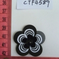 CTF4589