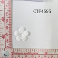 CTF4595
