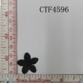 CTF4596