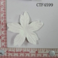 CTF4599