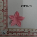 CTF4603