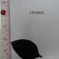 CTF4604