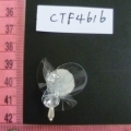 CTF4616