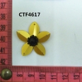 CTF4617