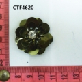 CTF4620