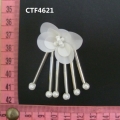 CTF4621