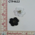 CTF4622
