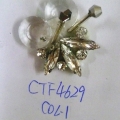 CTF4629